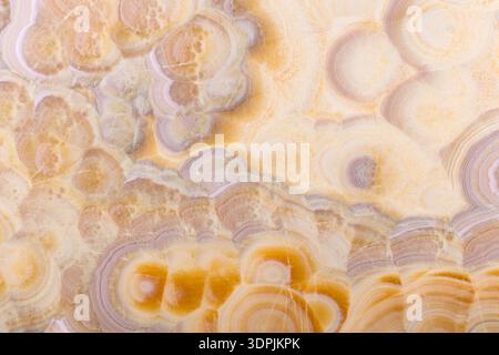 Natural onice background in beautiful light colors for interior artwork. Stock Photo