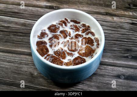 Milk with chocolate flavored corn flakes, or cornflakes, a breakfast cereal made from toasting flakes of corn maize, a breakfast food to counter indig Stock Photo