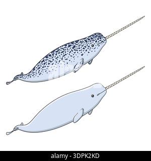 Set of color illustrations animal narwhal, sea unicorn. Isolated vector objects on white background. Stock Vector
