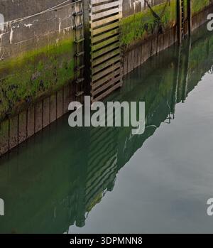 Concrete Harbour Pier Wall at Findochty Harbour in Scotland shows green algae watermarks and attached ladders. Its reflection shimmers in the calm har Stock Photo