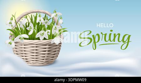 Spring Snowdrops in Wicker Basket Stock Vector