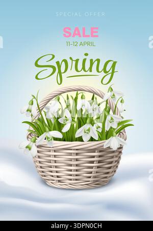 Spring Snowdrops in Basket advertising banner Stock Vector