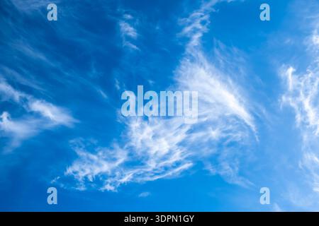 Vibrant blue sky covered with detailed, dynamic cirrus clouds resembling brushstrokes. Bright and vivid nature textured background , clear weather Stock Photo