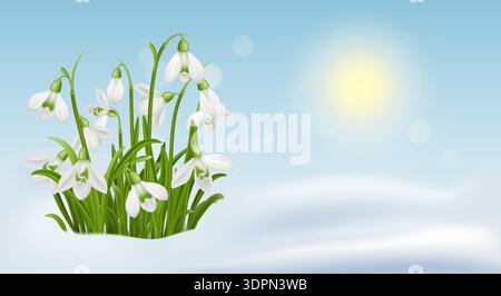 Snowdrop Flowers in Spring Snow Stock Vector