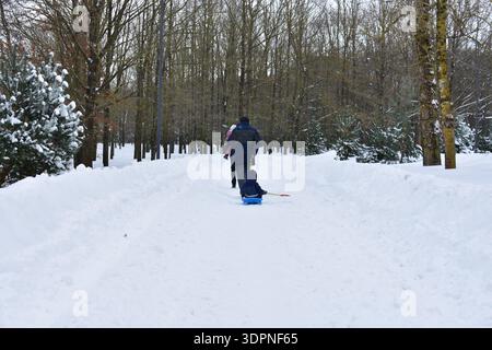 Family walking along a snow covered park pathway in winter while pulling a small child on a blue sled. Parents dressed in warm coats enjoy outdoor win Stock Photo