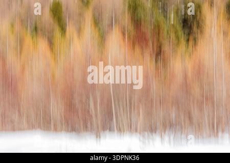 Abstract landscape background of a forest in snow ground - ICM photo Stock Photo