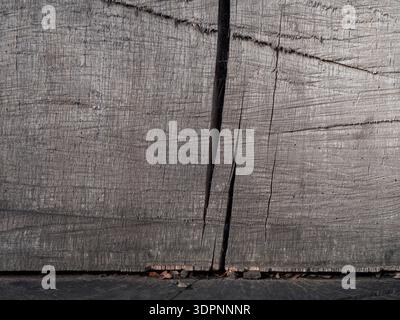 Close-up of cut tree trunk cross-section: detailed gray-brown wood grain with deep cracks and natural texture, perfect seamless background. Stock Photo