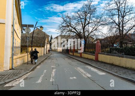 Quiet Old Street Pedestrian Crossing Winter Stock Photo