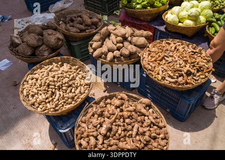 Udaipur, India - March 23, 2022: Several baskets filled with various root vegetables and tamarind pods are displayed for sale on plastic crates at an outdoor street market, with other vegetables and a vendor's leg partially visible. Stock Photo