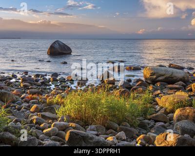 Sunset on the Baltic Sea, boulders and reeds on the shore in the last light, Schwanenstein in the back, Lohme, Jasmund National Park, Ruegen Island, M Stock Photo