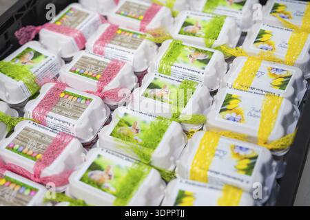 Decorated egg cartons with colorful ribbons and rabbit pictures on them, chocolate quail eggs, Easter production, Haselstaller Hof, Gechingen, Germany Stock Photo
