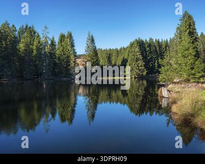 Small lake in the Thuringian Forest under blue sky, spruce forest reflected, Ochsenbacher Teich, Thuringia, Germany Stock Photo