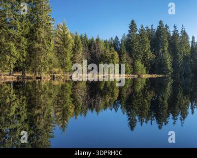 Small lake in the Thuringian Forest under blue sky, spruce forest reflected, Ochsenbacher Teich, Thuringia, Germany Stock Photo