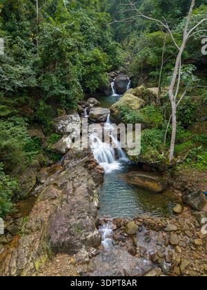 A small waterfall cascades through a rocky forest stream, forming clear pools among exposed boulders and dense vegetation. Stock Photo