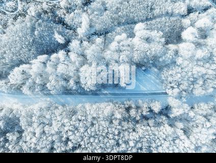 Aerial drone top down fly over winter spruce and pine forest with wooden cabin. Fir trees in mountains valley covered with snow. Landscape photography Stock Photo