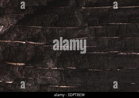 Texture of Burnt Wood Showing Charred Lines and Cracks in a Dark Surface at Close Range Stock Photo
