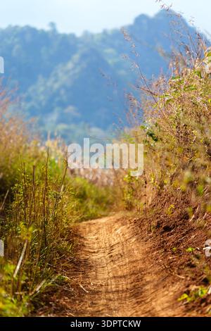 A narrow dirt trail winds through dry grasses and low vegetation on a hillside, with soft-focus forested hills in the background. Stock Photo
