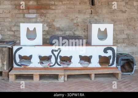 A simple outdoor cat bed placed on the ground near an old brick wall, showing a quiet everyday urban detail and animal-friendly street environment Stock Photo