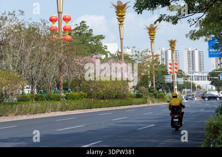 Motorcyclist riding on urban road lined with palm trees, red lanterns, and blooming flowers under clear sky Stock Photo