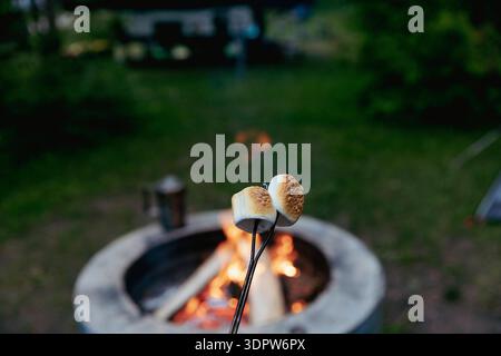 Marshmallows on a stick being roasted over a campfire Stock Photo