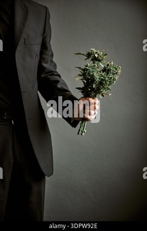 Elegant man in suit holding fresh cannabis bouquet against grey wall Stock Photo