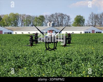Advanced agricultural drone flying over green field with farm buildings in background, precision crop spraying technology concept Stock Photo