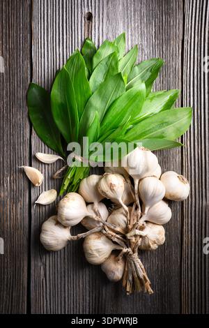 Wild garlic bunch with garlic cloves on dark wood background. Top view with bright green foliage and natural textures Stock Photo