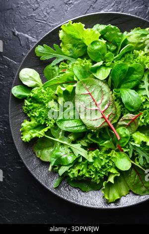 Salad greens with curly lettuce leaves on black plate on black background. Fresh leafy texture shown on dark rustic surface Stock Photo