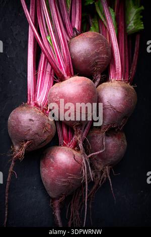 Raw beetroot bunch with leaves on dark surface. Fresh organic vegetable food with natural texture Stock Photo