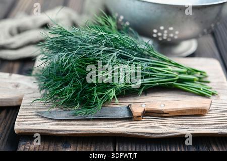 Dill greens placed on rustic cutting board with kitchen knife. Fresh aromatic herbs top view Stock Photo