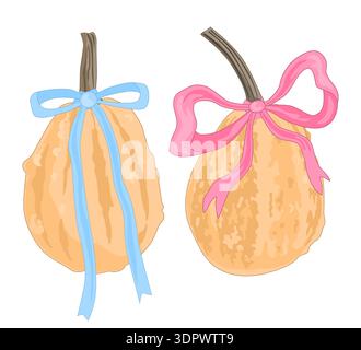 Cute hand-drawn pumpkins decorated with pink and blue ribbon bows. Autumn Baby Gender Party design. Boy or Girl Reveal Vector Illustration. Stock Vector