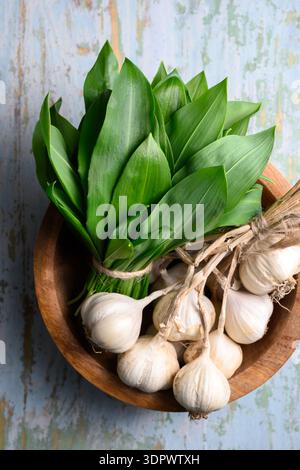 Bunch of wild garlic with garlic bulbs on light wooden background, rustic bowl and textured surface. Fresh herbs for cooking or herbal use soft natural lighting enhances leaf details Stock Photo