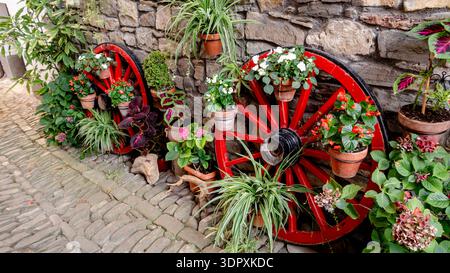 A charming rustic display in Roncal Valley, Navarra, Spain, features vibrant flowers in terracotta pots on two red cartwheels against a cobblestone pa Stock Photo