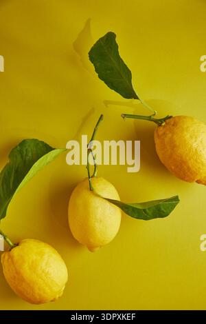 Three ripe lemons with green leaves are artfully arranged on a vibrant yellow background, showcasing the fresh and zesty nature of citrus fruits in vi Stock Photo