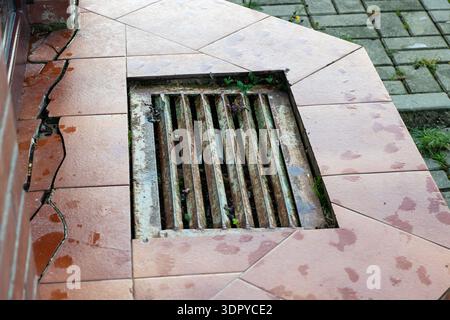 Rusty grate in cracked tile, standing water pooling inside drain, stained surrounding tiles and broken grout, moss Stock Photo