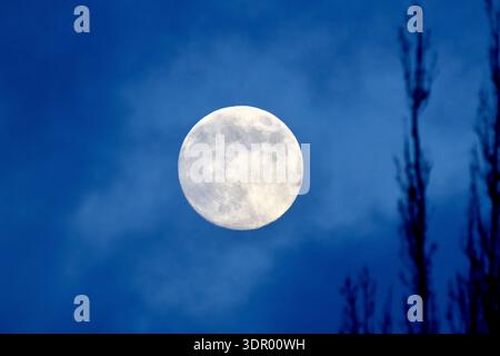Full Moon during Blue Hour Stock Photo