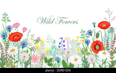 Hand drawn wild flowers with red poppies, white daisies, blue cornflowers, and other wild flowers on light background. Horizontal botanical background Stock Vector