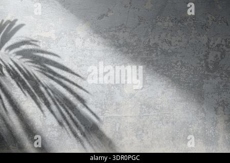 Textured gray concrete wall with worn surface and soft shadow of a palm leaf. Minimal urban background with natural light and tropical mood. Ideal for Stock Photo