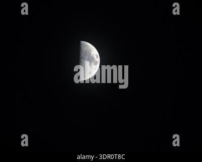 Sharp detailed view of a waxing half moon in the first quarter phase, isolated against a solid black night sky, showcasing lunar craters. Stock Photo