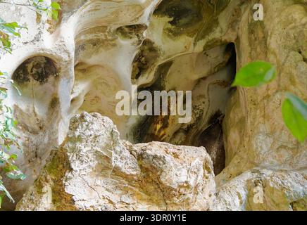 Prehistoric cave painting at Leang-leang, Sulawesi, Indonesia, ancient rock art depicting animal pig figure on limestone wall, one of oldest known art Stock Photo