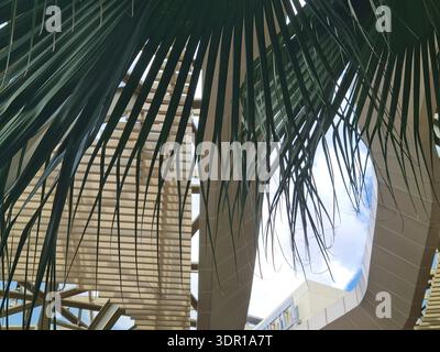 Tropical Garden View with Palm Fronds Framing Bright Blue Sky, Modern Perforated Canopy, and Hanging String Lights over Lush Green Foliage. Stock Photo