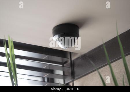 Security camera mounted on ceiling near indoor plants Stock Photo