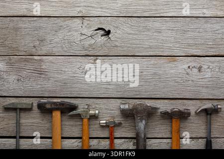 Collection of Different Hammers Aligned on a Wooden Surface in a Workshop Setting Stock Photo
