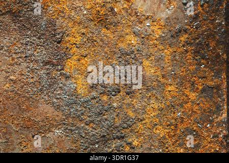 Rusty Surface Shows Textures and Colors on a Metal Structure in an Outdoor Setting Stock Photo