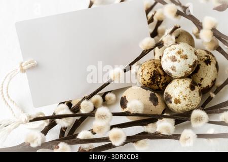 Spring happy easter blank card with willow branch and quail eggs on white textile background. Mockup greeting postcard with copy space Stock Photo