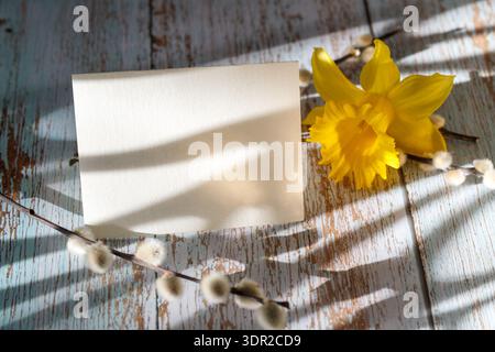 Spring easter blank card with willow branch and yellow daffodil flower on vintage wooden background. Mockup with copy space Stock Photo