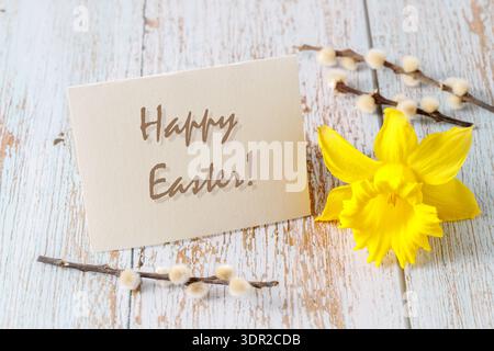 Spring holiday card with willow branch and daffodil flower on vintage wooden background. Mockup greeting postcard with happy easter text Stock Photo