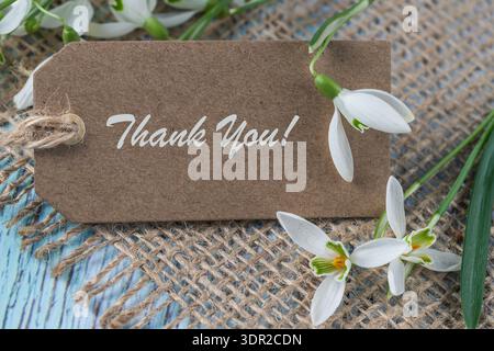 Retro Thank you card with white snowdrop flowers on jute background. Vintage tag with text  Thank You Stock Photo