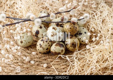 Spring happy easter retro style card with willow branch and quail eggs on hay background. Mockup greeting postcard with copy space Stock Photo