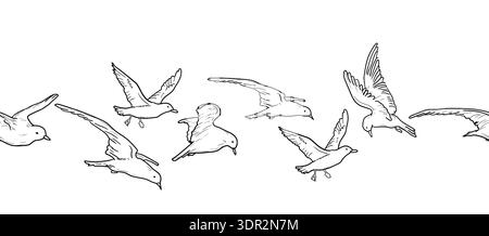Seagull in flight, black and white sketch. Vector illustration. Seabirds, seamless horizontal border, isolated on a white background. Stylized sea and Stock Vector
